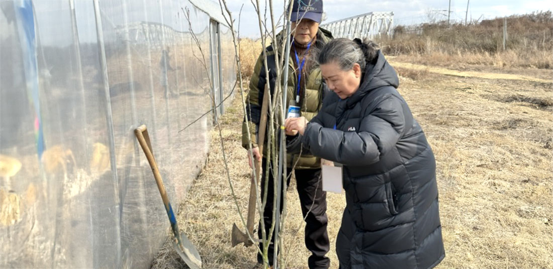 한반도 평화를 염원하며 무궁화를 심는 참가자 모습